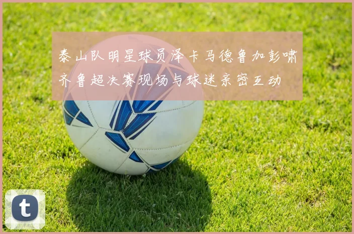 泰山队明星球员泽卡马德鲁加彭啸齐鲁超决赛现场与球迷亲密互动