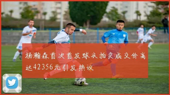 杨瀚森首次首发球衣拍卖成交价高达42356元引发热议