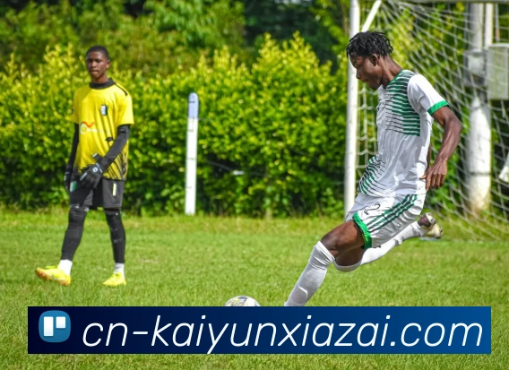 开云体育发展历程